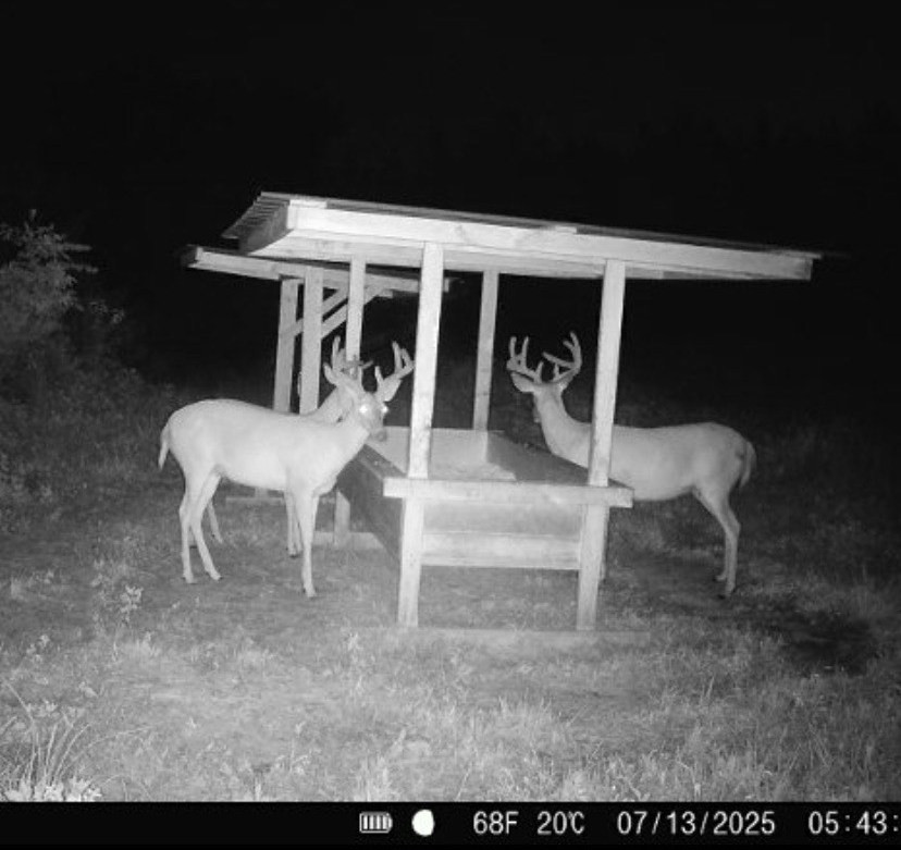 Hoxie Farm Photo
